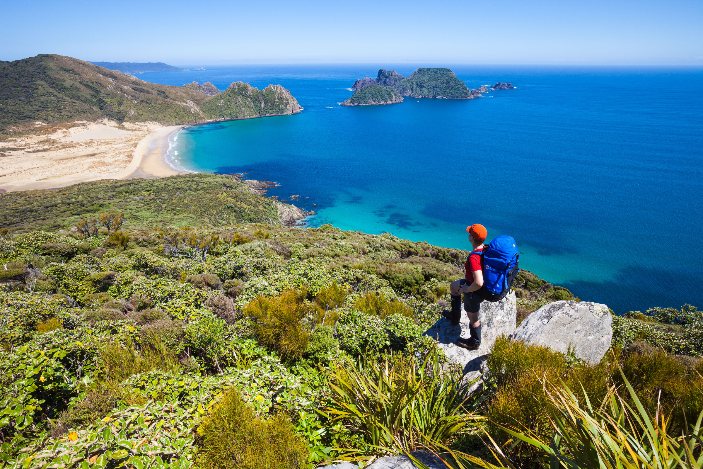 stewart island (3).webp